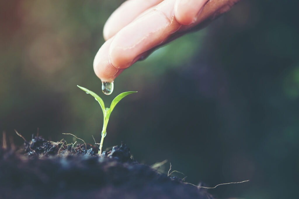 close up woman hand watering a seedling